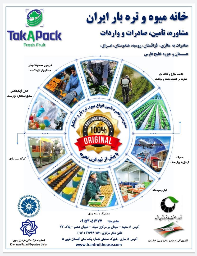 طراحی پوستر